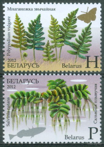 2012. 922-923. Флора **