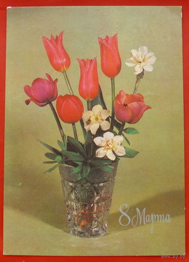 8 Марта! Подписанная. 1983 года. Круцко. # 20.