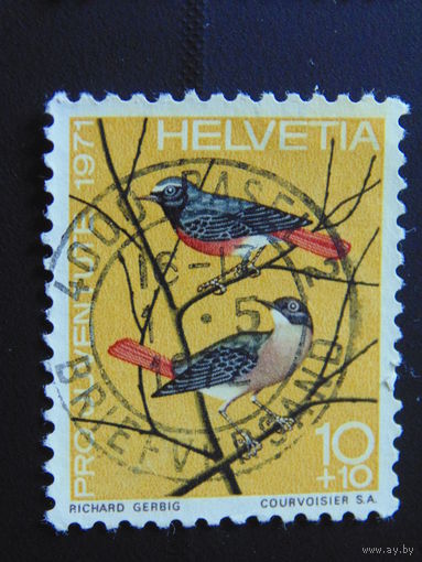 Швейцария 1971 г. Птицы.