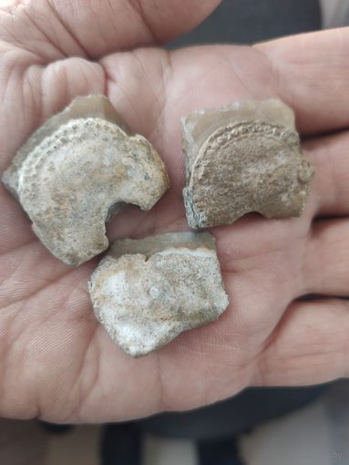 3 Кременя в свинцовых рубашках для креневого оружия по 1812