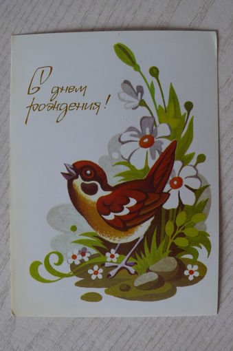 Пешехонов С., С днем рождения! 1987, чистая.