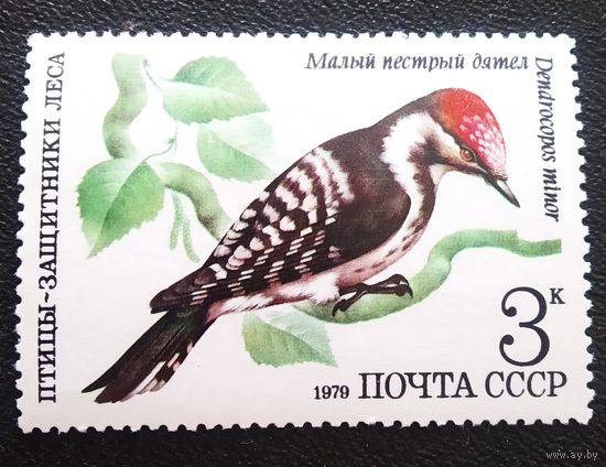 Марка СССР 1979 год Птицы