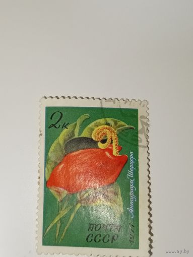 Марка СССР 1971 год Цветы