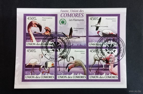 ЛИСТ ФАУНА ПТИЦЫ  СТО