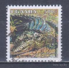 [903] Уганда 1995. Фауна.Рептилии.Крокодил. Гашеная марка.
