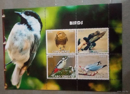 СЕРИЯ Блоков птицы  фауна MNH