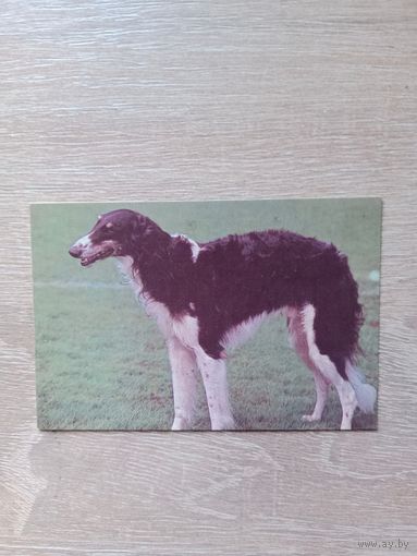 Календарик 1993