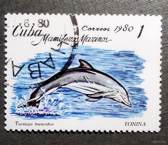 Марка Куба 1980 год Дельфин