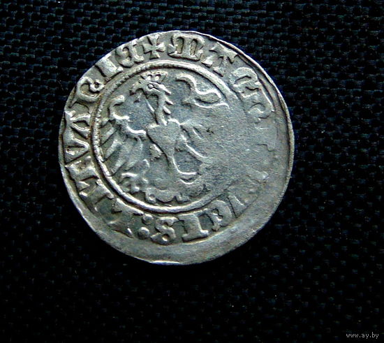 Полугрошка 1513 .