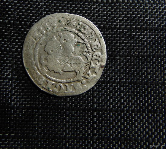 Полугрошка 1513 .