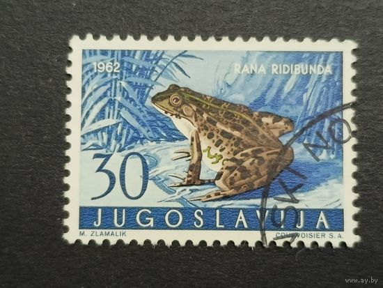 Югославия 1962. Земноводные и рептилии