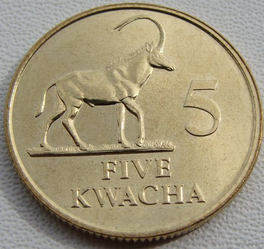 Замбия. 5 квача 1992 год  КМ#31