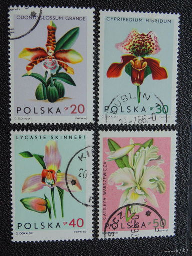 Польша 1965 г. Цветы.