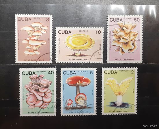 Куба. 1989 год. Флора. Грибы (974)