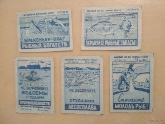 Спичечные этикетки ф.Байкал. Рыбоохрана. 1962 год