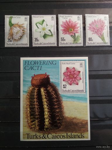 Теркс и Кайкос 1981 г. Кактусы.
