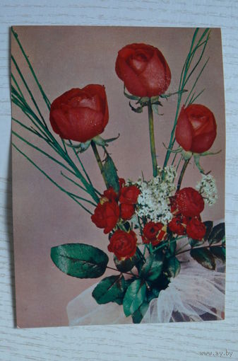 Розы; чистая (изд. Польша).