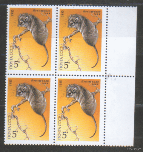 Заг. 5591. 1985. Боялычная соня. КВАРТ, ЧиСт.
