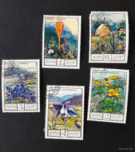 СССР 1976 г. Цветы Кавказа. Растения. Флора., полная серия из 5 марок #0111-Ф1P23
