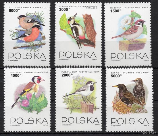 Польша 1993. Птицы 6 марок (3458-63)