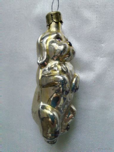 Цирковая собачка