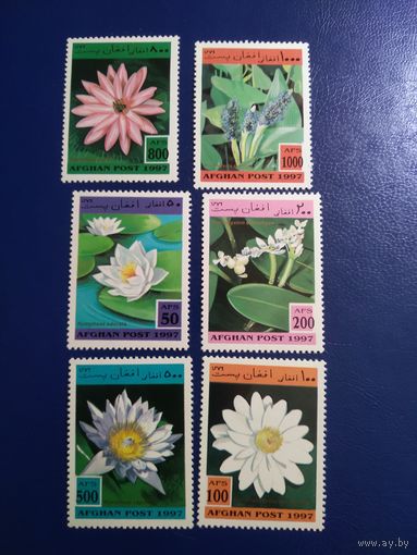 Афганистан 1997г. Флора.