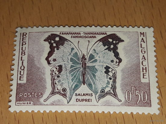 Мадагаскар (Малагаси) 1960 Фауна. Насекомые. Бабочки. Чистая марка