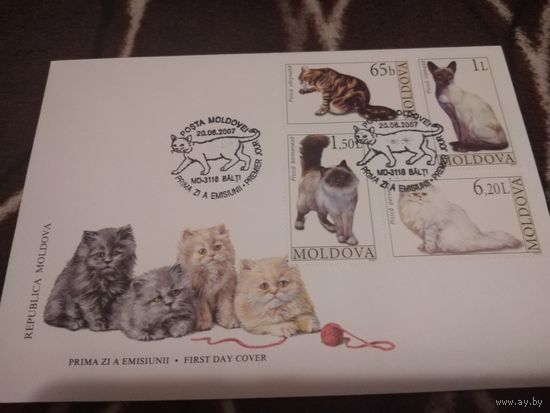 КПД 2007г. Молдова. Кошки