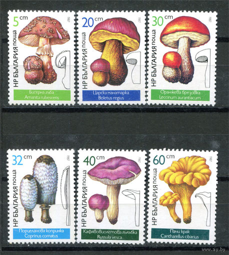 Болгария - 1987г. - Съедобные грибы - полная серия, MNH, одна марка с незначительными вмятинками (видны только с обратной стороны) [Mi 3546-3551] - 6 марок