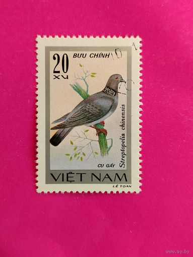 Вьетнам. Птицы. ( 1 марка ) 1978 года. 2-18.