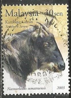 Малайзия. Серна. 2003г. Mi#1162.