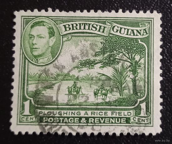 Лот 284 Британская Гвиана. Король Георг VI и локальные сцены. Вспашка рисового поля GB-GY230