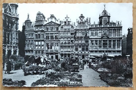 Брюссель. Цветочный рынок на Grand Place. Чистая