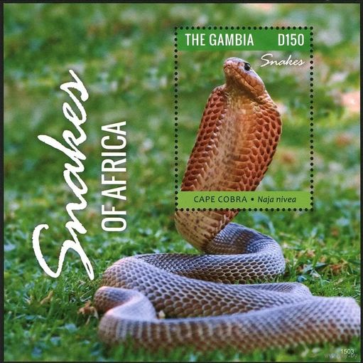 2014 Гамбия 7079/B917 Рептилии - Змеи 8,00 евро