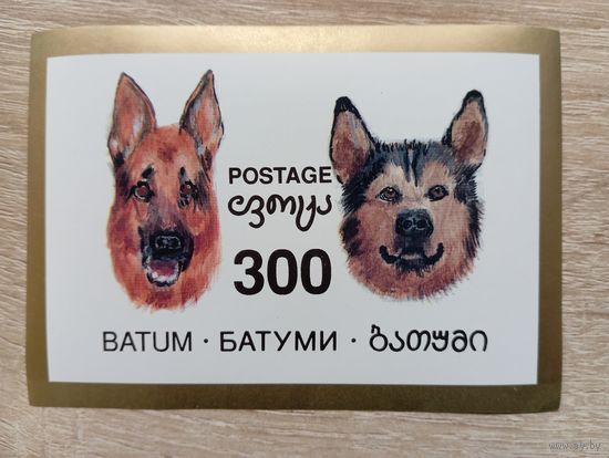 М-11. БЛОК. БАТУМИ. ФАУНА. СОБАКИ.
