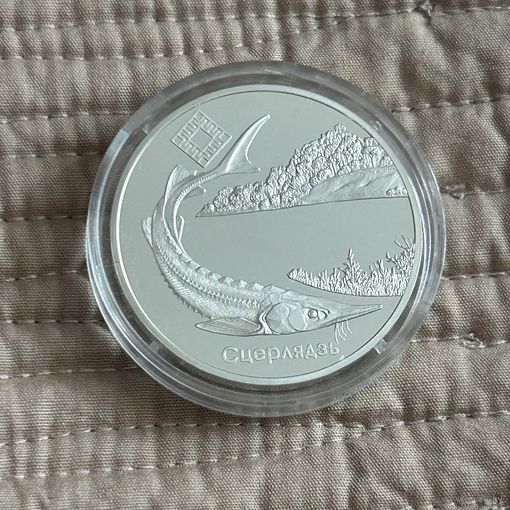 Заказник "Днепро - Сожский". Стерлядь. 20 рублей 2007 год