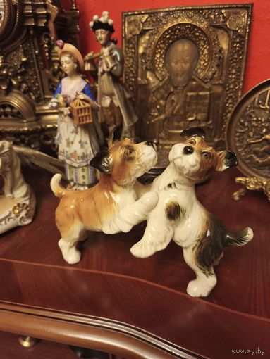 Собаки Карл энс 1900 г