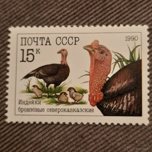 СССР 1990. Индейка бронзовая северокавказская. Марка из серии