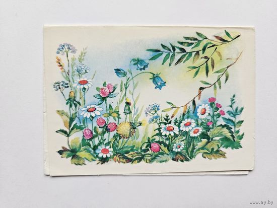 Жебелева 1987 Поздравляю