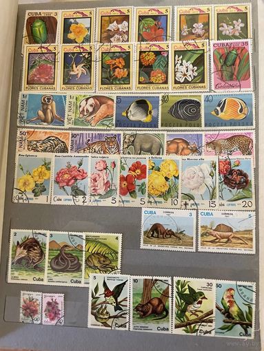 Марки тематики флора и фауна