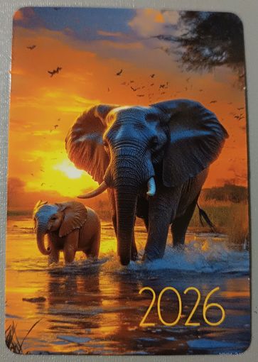 Слоны. Календарик, 2026
