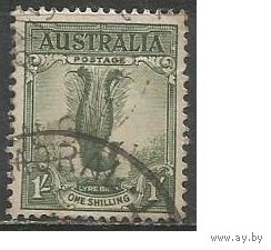 Австралия. Павлин. 1937г. Mi#148.