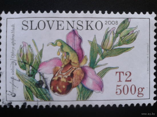Словакия 2008 орхидеи