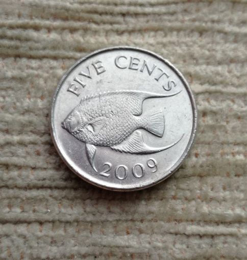 Werty71 Бермуды Бермудские острова 5 центов 2009 Королева в годах Рыба