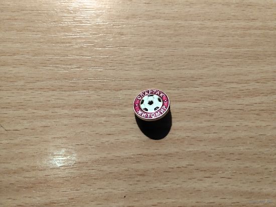 Футбольный клуб Спартак Житомир