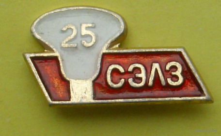 25 лет СЭЛЗ. 394.