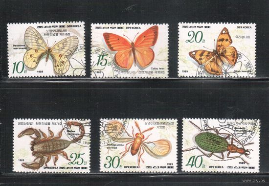 КНДР-1989,(Мих.3010-3015)   гаш., Фауна, Бабочки,Насекомые (полная серия)