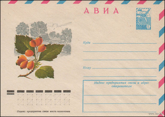 Художественный маркированный конверт СССР N 12657 (07.02.1978) АВИА  [Боярышник]