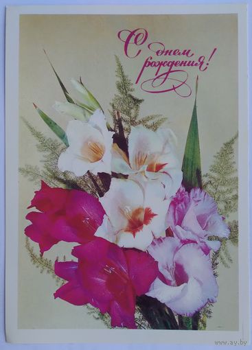 Открытка .. с днем рождения !.. 1982г. подписана