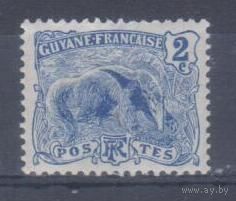 [1655] Французские колонии. Французская Гвиана 1904. Фауна.Муравьед. МН